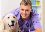Pet Care Professionals